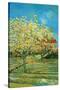 Orchard with Cypress by Van Gogh-Vincent van Gogh-Stretched Canvas