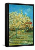 Orchard with Cypress by Van Gogh-Vincent van Gogh-Framed Stretched Canvas