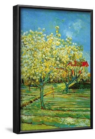 'Orchard with Cypress' Print - Vincent van Gogh | AllPosters.com