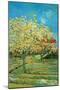 Orchard with Cypress-Vincent van Gogh-Mounted Art Print