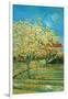 Orchard with Cypress-Vincent van Gogh-Framed Art Print