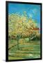 Orchard with Cypress-Vincent van Gogh-Framed Art Print