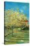 Orchard with Cypress-Vincent van Gogh-Stretched Canvas