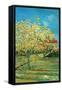 Orchard with Cypress-Vincent van Gogh-Framed Stretched Canvas