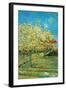 Orchard with Cypress-Vincent van Gogh-Framed Art Print