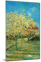 Orchard with Cypress-Vincent van Gogh-Mounted Art Print