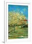 Orchard with Cypress-Vincent van Gogh-Framed Art Print