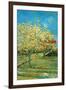 Orchard with Cypress-Vincent van Gogh-Framed Art Print