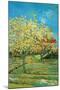 Orchard with Cypress-Vincent van Gogh-Mounted Art Print