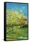 Orchard with Cypress-Vincent van Gogh-Framed Stretched Canvas
