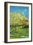 Orchard with Cypress-Vincent van Gogh-Framed Art Print