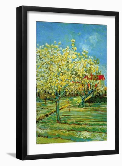 Orchard with Cypress-Vincent van Gogh-Framed Art Print