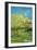 Orchard with Cypress-Vincent van Gogh-Framed Art Print