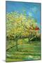 Orchard with Cypress-Vincent van Gogh-Mounted Art Print