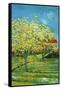 Orchard with Cypress-Vincent van Gogh-Framed Stretched Canvas