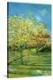 Orchard with Cypress-Vincent van Gogh-Stretched Canvas