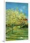 Orchard with Cypress-Vincent van Gogh-Framed Art Print