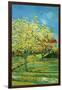 Orchard with Cypress-Vincent van Gogh-Framed Art Print