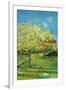 Orchard with Cypress-Vincent van Gogh-Framed Art Print