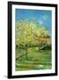 Orchard with Cypress-Vincent van Gogh-Framed Art Print