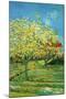 Orchard with Cypress-Vincent van Gogh-Mounted Art Print