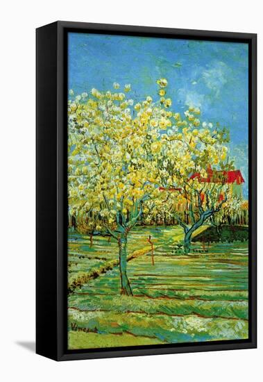 Orchard with Cypress-Vincent van Gogh-Framed Stretched Canvas