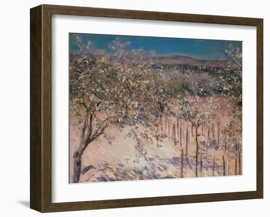 Orchard with Flowering Apple Trees, Colombes-Gustave Caillebotte-Framed Giclee Print