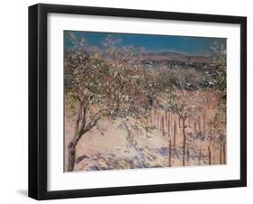 Orchard with Flowering Apple Trees, Colombes-Gustave Caillebotte-Framed Giclee Print