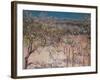 Orchard with Flowering Apple Trees, Colombes-Gustave Caillebotte-Framed Giclee Print