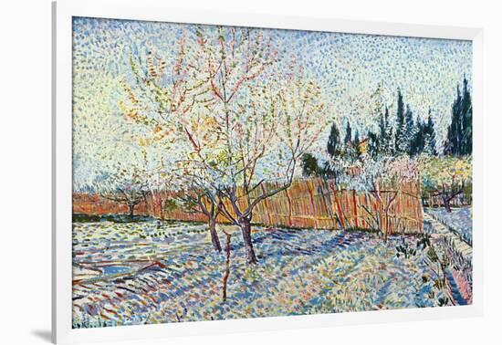 Orchard-Vincent van Gogh-Framed Art Print