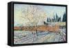 Orchard-Vincent van Gogh-Framed Stretched Canvas