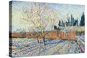 Orchard-Vincent van Gogh-Stretched Canvas