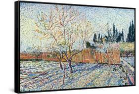 Orchard-Vincent van Gogh-Framed Stretched Canvas