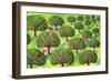 Orchard-Jane Tattersfield-Framed Giclee Print