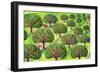 Orchard-Jane Tattersfield-Framed Giclee Print