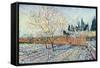 Orchard-Vincent van Gogh-Framed Stretched Canvas