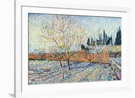 Orchard-Vincent van Gogh-Framed Premium Giclee Print