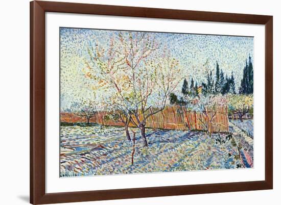 Orchard-Vincent van Gogh-Framed Premium Giclee Print