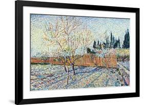 Orchard-Vincent van Gogh-Framed Premium Giclee Print