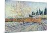 Orchard-Vincent van Gogh-Mounted Premium Giclee Print