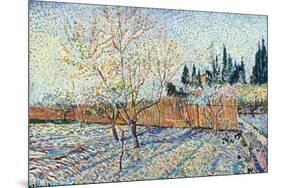 Orchard-Vincent van Gogh-Mounted Premium Giclee Print