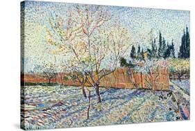 Orchard-Vincent van Gogh-Stretched Canvas