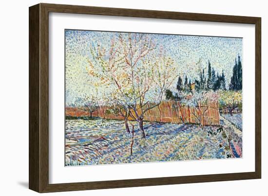 Orchard-Vincent van Gogh-Framed Art Print