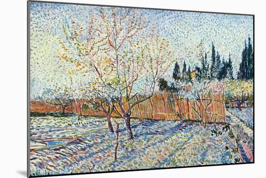 Orchard-Vincent van Gogh-Mounted Art Print