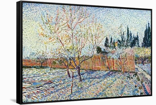 Orchard-Vincent van Gogh-Framed Stretched Canvas