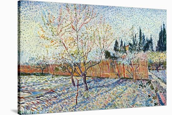 Orchard-Vincent van Gogh-Stretched Canvas