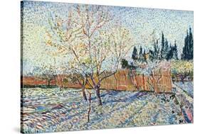 Orchard-Vincent van Gogh-Stretched Canvas