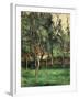 Orchard-Paul C?zanne-Framed Giclee Print