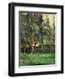 Orchard-Paul C?zanne-Framed Giclee Print