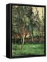 Orchard-Paul C?zanne-Framed Stretched Canvas